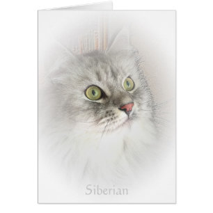 Portrait d'une carte sibérienne