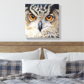 Portrait d'une chouette d'aigle imprimé en toile e (Insitu(Chambre))