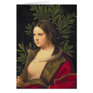 Portrait d'une jeune femme, 1506