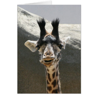 Portrait d'une petite girafe
