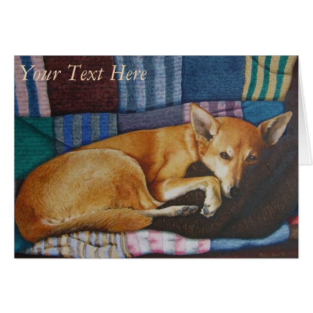 portrait german berger labrador race mixte chien (Devant Horizontal)