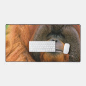 Portrait of Orang-utang Male, Georgia, USA (Clavier et souris)