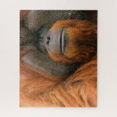 Portrait of Orang-utang Male, Georgia, USA Legpuzzel (Verticaal)