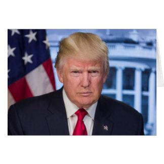 Portrait officiel présidentiel de Donald Trump