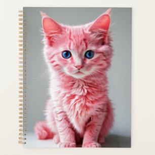 Portrait photo de chat rose