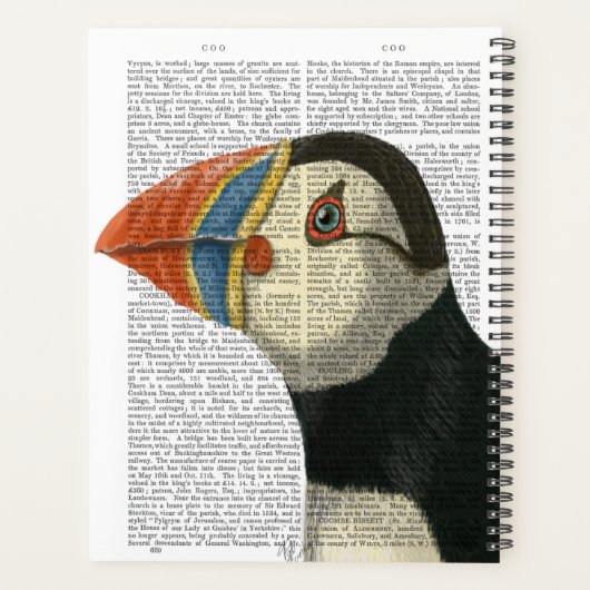 Portrait Puffin (Dos)
