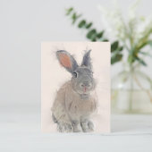 Portrait Rabbit No.33 Carte postale (Debout devant)