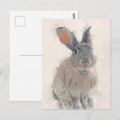 Portrait Rabbit No.33 Carte postale (Devant / Derrière)
