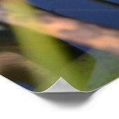 PORTRAIT VAN EEN FROG POSTER (Hoek)