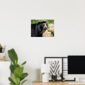 Portret Andesbeer Poster (Thuiskantoor)