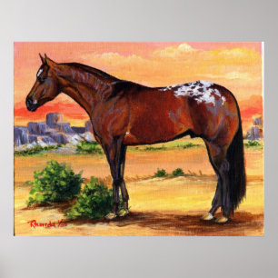 Portret Appaloosa Profile Horse Poster