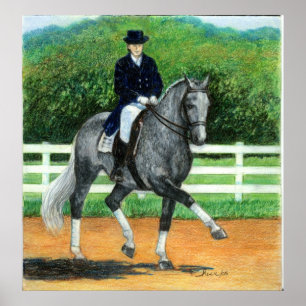Portret Belgische Warmblood Dressage Horse Poster