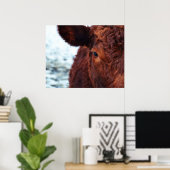 Portret bruine koe poster (Thuiskantoor)