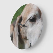 portret grote klok (Hoek)