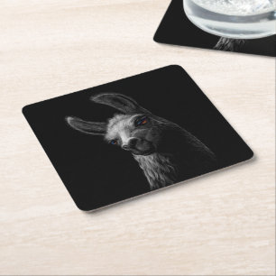 Portret Head Cute Llama met een zwarte achtergrond Vierkante Kartonnen Onderzetter