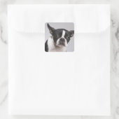 Portret hond vierkante sticker (Tas)