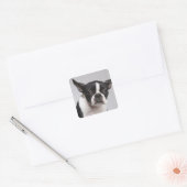 Portret hond vierkante sticker (Envelop)