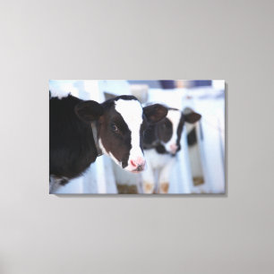 Portret koe canvas afdruk