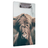 Portret koe Highland Klembord (Rechts)