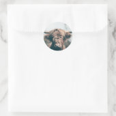 Portret koe Highland Ronde Sticker (Tas)