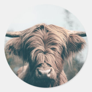 Portret koe Highland Ronde Sticker