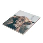 Portret koe Highland Tegeltje (Zijkant)