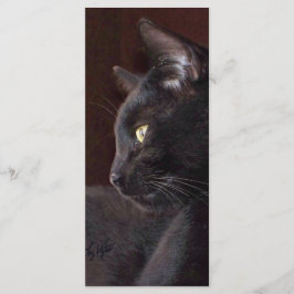 Portret My Boy Charlie Bladwijzer