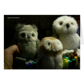 Portret of Owls
