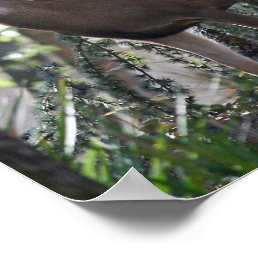 "Portret of Peace" Poster (Hoek)