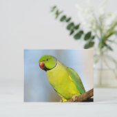 Portret Roos-ringed paraket Briefkaart (Staand voorkant)