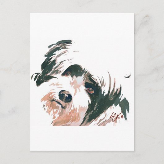 portret Tibetan Terrier Briefkaart (Voorkant)