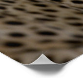 Portret van Afrikaanse Cheetah Poster (Hoek)