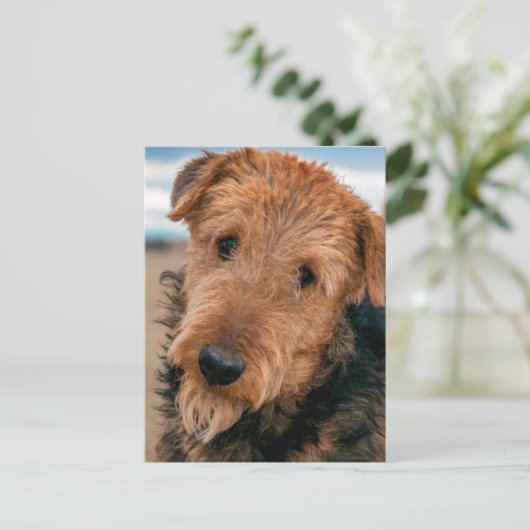 Portret van Airedale Terrier 2 Briefkaart (Staand voorkant)