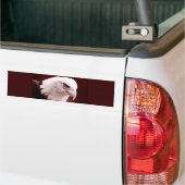 Portret van American Bald Eagle Bumpersticker (Op Truck)