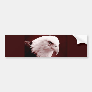 Portret van American Bald Eagle Bumpersticker