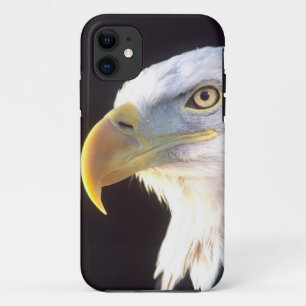 Portret van Amerikaanse zeearend, Haliaeetus leuco iPhone 11 Hoesje