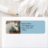 Portret van apple Gray Andalusië Etiket (Insitu)