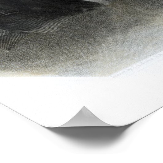 Portret van Benjamin Disraeli Esquire M.P. Poster (Hoek)