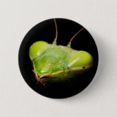 Portret van bidsprinkhaankreeft ronde button 5,7 cm (Voorkant)