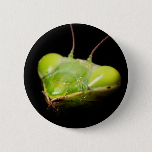 Portret van bidsprinkhaankreeft ronde button 5,7 cm (Voorkant)