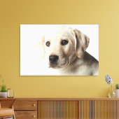 Portret van blond Labrador Retriever Puppy Canvas Afdruk (Insitu (Woonkamer))
