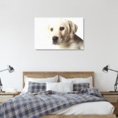 Portret van blond Labrador Retriever Puppy Canvas Afdruk (Insitu (Slaapkamer))