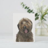 Portret van Briard-hond Briefkaart (Staand voorkant)