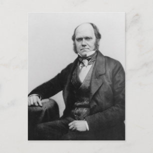 Portret van Charles Darwin, 1854 Briefkaart