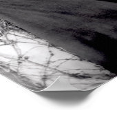 Portret van Charles Darwin 1881 Poster (Hoek)