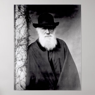 Portret van Charles Darwin 1881 Poster