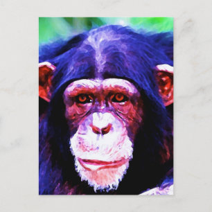 Portret van Chimpansee Briefkaart