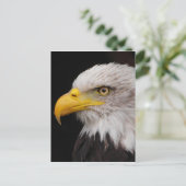 Portret van de adelaar briefkaart (Staand voorkant)