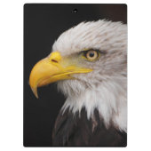 Portret van de adelaar klembord (Achterkant)