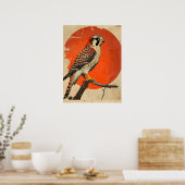  portret van de Amerikaanse torenvalk Poster (Keuken)